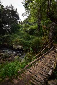 BIB: 
                            <button type="button" onclick="openModal(15980951)" class="btn btn-primary btn-sm float-right btn-popup" data-toggle="modal" data-target=".modal-high-quality">
                        <i class="fas fa-shopping-cart"></i> Add to Cart
                    </button>
                                            <button type="button" onclick="isThisMe(15980951, true)" class="btn btn-success btn-sm float-right btn-popup btn-isme hidden" data-toggle="tooltip" data-placement="bottom" title="นี่คือรูปของคุณใช่ไหม คลิกที่นี่เพื่อเอาเข้าอัลบั้ม">
                        <i class="fas fa-plus"></i> Add to album
                    </button>
                    <button type="button" onclick="isThisMe(15980951, false)" class="btn btn-warning btn-sm float-right btn-popup btn-isnotme hidden">
                        <i class="fas fa-ban"></i> Remove from album
                    </button>