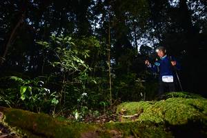 BIB: , 3271
                            <button type="button" onclick="openModal(15962407)" class="btn btn-primary btn-sm float-right btn-popup" data-toggle="modal" data-target=".modal-high-quality">
                        <i class="fas fa-shopping-cart"></i> Add to Cart
                    </button>
                                            <button type="button" onclick="isThisMe(15962407, true)" class="btn btn-success btn-sm float-right btn-popup btn-isme hidden" data-toggle="tooltip" data-placement="bottom" title="นี่คือรูปของคุณใช่ไหม คลิกที่นี่เพื่อเอาเข้าอัลบั้ม">
                        <i class="fas fa-plus"></i> Add to album
                    </button>
                    <button type="button" onclick="isThisMe(15962407, false)" class="btn btn-warning btn-sm float-right btn-popup btn-isnotme hidden">
                        <i class="fas fa-ban"></i> Remove from album
                    </button>