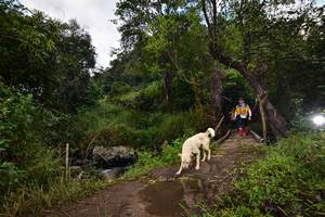 BIB: 1126, 1744
                            <button type="button" onclick="openModal(15979489)" class="btn btn-primary btn-sm float-right btn-popup" data-toggle="modal" data-target=".modal-high-quality">
                        <i class="fas fa-shopping-cart"></i> Add to Cart
                    </button>
                                            <button type="button" onclick="isThisMe(15979489, true)" class="btn btn-success btn-sm float-right btn-popup btn-isme hidden" data-toggle="tooltip" data-placement="bottom" title="นี่คือรูปของคุณใช่ไหม คลิกที่นี่เพื่อเอาเข้าอัลบั้ม">
                        <i class="fas fa-plus"></i> Add to album
                    </button>
                    <button type="button" onclick="isThisMe(15979489, false)" class="btn btn-warning btn-sm float-right btn-popup btn-isnotme hidden">
                        <i class="fas fa-ban"></i> Remove from album
                    </button>