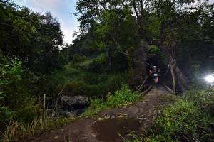 BIB: 1532
                            <button type="button" onclick="openModal(15977113)" class="btn btn-primary btn-sm float-right btn-popup" data-toggle="modal" data-target=".modal-high-quality">
                        <i class="fas fa-shopping-cart"></i> Add to Cart
                    </button>
                                            <button type="button" onclick="isThisMe(15977113, true)" class="btn btn-success btn-sm float-right btn-popup btn-isme hidden" data-toggle="tooltip" data-placement="bottom" title="นี่คือรูปของคุณใช่ไหม คลิกที่นี่เพื่อเอาเข้าอัลบั้ม">
                        <i class="fas fa-plus"></i> Add to album
                    </button>
                    <button type="button" onclick="isThisMe(15977113, false)" class="btn btn-warning btn-sm float-right btn-popup btn-isnotme hidden">
                        <i class="fas fa-ban"></i> Remove from album
                    </button>