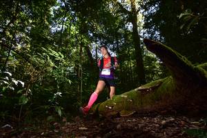 BIB: 100, 3099
                            <button type="button" onclick="openModal(15961856)" class="btn btn-primary btn-sm float-right btn-popup" data-toggle="modal" data-target=".modal-high-quality">
                        <i class="fas fa-shopping-cart"></i> Add to Cart
                    </button>
                                            <button type="button" onclick="isThisMe(15961856, true)" class="btn btn-success btn-sm float-right btn-popup btn-isme hidden" data-toggle="tooltip" data-placement="bottom" title="นี่คือรูปของคุณใช่ไหม คลิกที่นี่เพื่อเอาเข้าอัลบั้ม">
                        <i class="fas fa-plus"></i> Add to album
                    </button>
                    <button type="button" onclick="isThisMe(15961856, false)" class="btn btn-warning btn-sm float-right btn-popup btn-isnotme hidden">
                        <i class="fas fa-ban"></i> Remove from album
                    </button>