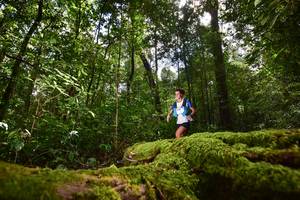 BIB: 3080
                            <button type="button" onclick="openModal(15961380)" class="btn btn-primary btn-sm float-right btn-popup" data-toggle="modal" data-target=".modal-high-quality">
                        <i class="fas fa-shopping-cart"></i> Add to Cart
                    </button>
                                            <button type="button" onclick="isThisMe(15961380, true)" class="btn btn-success btn-sm float-right btn-popup btn-isme hidden" data-toggle="tooltip" data-placement="bottom" title="นี่คือรูปของคุณใช่ไหม คลิกที่นี่เพื่อเอาเข้าอัลบั้ม">
                        <i class="fas fa-plus"></i> Add to album
                    </button>
                    <button type="button" onclick="isThisMe(15961380, false)" class="btn btn-warning btn-sm float-right btn-popup btn-isnotme hidden">
                        <i class="fas fa-ban"></i> Remove from album
                    </button>