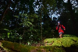 BIB: 
                            <button type="button" onclick="openModal(15962372)" class="btn btn-primary btn-sm float-right btn-popup" data-toggle="modal" data-target=".modal-high-quality">
                        <i class="fas fa-shopping-cart"></i> Add to Cart
                    </button>
                                            <button type="button" onclick="isThisMe(15962372, true)" class="btn btn-success btn-sm float-right btn-popup btn-isme hidden" data-toggle="tooltip" data-placement="bottom" title="นี่คือรูปของคุณใช่ไหม คลิกที่นี่เพื่อเอาเข้าอัลบั้ม">
                        <i class="fas fa-plus"></i> Add to album
                    </button>
                    <button type="button" onclick="isThisMe(15962372, false)" class="btn btn-warning btn-sm float-right btn-popup btn-isnotme hidden">
                        <i class="fas fa-ban"></i> Remove from album
                    </button>