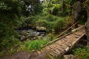 BIB: 
                            <button type="button" onclick="openModal(15980928)" class="btn btn-primary btn-sm float-right btn-popup" data-toggle="modal" data-target=".modal-high-quality">
                        <i class="fas fa-shopping-cart"></i> Add to Cart
                    </button>
                                            <button type="button" onclick="isThisMe(15980928, true)" class="btn btn-success btn-sm float-right btn-popup btn-isme hidden" data-toggle="tooltip" data-placement="bottom" title="นี่คือรูปของคุณใช่ไหม คลิกที่นี่เพื่อเอาเข้าอัลบั้ม">
                        <i class="fas fa-plus"></i> Add to album
                    </button>
                    <button type="button" onclick="isThisMe(15980928, false)" class="btn btn-warning btn-sm float-right btn-popup btn-isnotme hidden">
                        <i class="fas fa-ban"></i> Remove from album
                    </button>