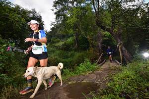 BIB: 1150, 4043, 1610
                            <button type="button" onclick="openModal(15979518)" class="btn btn-primary btn-sm float-right btn-popup" data-toggle="modal" data-target=".modal-high-quality">
                        <i class="fas fa-shopping-cart"></i> Add to Cart
                    </button>
                                            <button type="button" onclick="isThisMe(15979518, true)" class="btn btn-success btn-sm float-right btn-popup btn-isme hidden" data-toggle="tooltip" data-placement="bottom" title="นี่คือรูปของคุณใช่ไหม คลิกที่นี่เพื่อเอาเข้าอัลบั้ม">
                        <i class="fas fa-plus"></i> Add to album
                    </button>
                    <button type="button" onclick="isThisMe(15979518, false)" class="btn btn-warning btn-sm float-right btn-popup btn-isnotme hidden">
                        <i class="fas fa-ban"></i> Remove from album
                    </button>