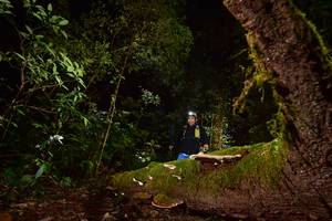 BIB: 
                            <button type="button" onclick="openModal(15962645)" class="btn btn-primary btn-sm float-right btn-popup" data-toggle="modal" data-target=".modal-high-quality">
                        <i class="fas fa-shopping-cart"></i> Add to Cart
                    </button>
                                            <button type="button" onclick="isThisMe(15962645, true)" class="btn btn-success btn-sm float-right btn-popup btn-isme hidden" data-toggle="tooltip" data-placement="bottom" title="นี่คือรูปของคุณใช่ไหม คลิกที่นี่เพื่อเอาเข้าอัลบั้ม">
                        <i class="fas fa-plus"></i> Add to album
                    </button>
                    <button type="button" onclick="isThisMe(15962645, false)" class="btn btn-warning btn-sm float-right btn-popup btn-isnotme hidden">
                        <i class="fas fa-ban"></i> Remove from album
                    </button>