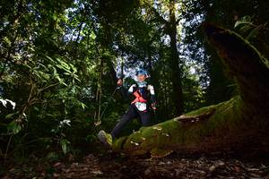 BIB: 2175
                            <button type="button" onclick="openModal(15961911)" class="btn btn-primary btn-sm float-right btn-popup" data-toggle="modal" data-target=".modal-high-quality">
                        <i class="fas fa-shopping-cart"></i> Add to Cart
                    </button>
                                            <button type="button" onclick="isThisMe(15961911, true)" class="btn btn-success btn-sm float-right btn-popup btn-isme hidden" data-toggle="tooltip" data-placement="bottom" title="นี่คือรูปของคุณใช่ไหม คลิกที่นี่เพื่อเอาเข้าอัลบั้ม">
                        <i class="fas fa-plus"></i> Add to album
                    </button>
                    <button type="button" onclick="isThisMe(15961911, false)" class="btn btn-warning btn-sm float-right btn-popup btn-isnotme hidden">
                        <i class="fas fa-ban"></i> Remove from album
                    </button>