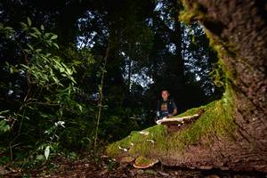 BIB: 
                            <button type="button" onclick="openModal(15962437)" class="btn btn-primary btn-sm float-right btn-popup" data-toggle="modal" data-target=".modal-high-quality">
                        <i class="fas fa-shopping-cart"></i> Add to Cart
                    </button>
                                            <button type="button" onclick="isThisMe(15962437, true)" class="btn btn-success btn-sm float-right btn-popup btn-isme hidden" data-toggle="tooltip" data-placement="bottom" title="นี่คือรูปของคุณใช่ไหม คลิกที่นี่เพื่อเอาเข้าอัลบั้ม">
                        <i class="fas fa-plus"></i> Add to album
                    </button>
                    <button type="button" onclick="isThisMe(15962437, false)" class="btn btn-warning btn-sm float-right btn-popup btn-isnotme hidden">
                        <i class="fas fa-ban"></i> Remove from album
                    </button>