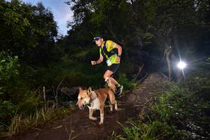 BIB: 121
                            <button type="button" onclick="openModal(15975607)" class="btn btn-primary btn-sm float-right btn-popup" data-toggle="modal" data-target=".modal-high-quality">
                        <i class="fas fa-shopping-cart"></i> Add to Cart
                    </button>
                                            <button type="button" onclick="isThisMe(15975607, true)" class="btn btn-success btn-sm float-right btn-popup btn-isme hidden" data-toggle="tooltip" data-placement="bottom" title="นี่คือรูปของคุณใช่ไหม คลิกที่นี่เพื่อเอาเข้าอัลบั้ม">
                        <i class="fas fa-plus"></i> Add to album
                    </button>
                    <button type="button" onclick="isThisMe(15975607, false)" class="btn btn-warning btn-sm float-right btn-popup btn-isnotme hidden">
                        <i class="fas fa-ban"></i> Remove from album
                    </button>