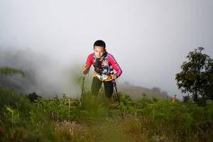 BIB: 
                            <button type="button" onclick="openModal(15944118)" class="btn btn-primary btn-sm float-right btn-popup" data-toggle="modal" data-target=".modal-high-quality">
                        <i class="fas fa-shopping-cart"></i> Add to Cart
                    </button>
                                            <button type="button" onclick="isThisMe(15944118, true)" class="btn btn-success btn-sm float-right btn-popup btn-isme hidden" data-toggle="tooltip" data-placement="bottom" title="นี่คือรูปของคุณใช่ไหม คลิกที่นี่เพื่อเอาเข้าอัลบั้ม">
                        <i class="fas fa-plus"></i> Add to album
                    </button>
                    <button type="button" onclick="isThisMe(15944118, false)" class="btn btn-warning btn-sm float-right btn-popup btn-isnotme hidden">
                        <i class="fas fa-ban"></i> Remove from album
                    </button>