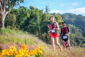 BIB: 1646, 
                            <button type="button" onclick="openModal(16006614)" class="btn btn-primary btn-sm float-right btn-popup" data-toggle="modal" data-target=".modal-high-quality">
                        <i class="fas fa-shopping-cart"></i> Add to Cart
                    </button>
                                            <button type="button" onclick="isThisMe(16006614, true)" class="btn btn-success btn-sm float-right btn-popup btn-isme hidden" data-toggle="tooltip" data-placement="bottom" title="นี่คือรูปของคุณใช่ไหม คลิกที่นี่เพื่อเอาเข้าอัลบั้ม">
                        <i class="fas fa-plus"></i> Add to album
                    </button>
                    <button type="button" onclick="isThisMe(16006614, false)" class="btn btn-warning btn-sm float-right btn-popup btn-isnotme hidden">
                        <i class="fas fa-ban"></i> Remove from album
                    </button>