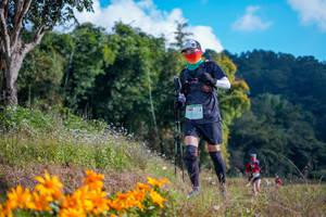 BIB: 1481, 
                            <button type="button" onclick="openModal(16007062)" class="btn btn-primary btn-sm float-right btn-popup" data-toggle="modal" data-target=".modal-high-quality">
                        <i class="fas fa-shopping-cart"></i> Add to Cart
                    </button>
                                            <button type="button" onclick="isThisMe(16007062, true)" class="btn btn-success btn-sm float-right btn-popup btn-isme hidden" data-toggle="tooltip" data-placement="bottom" title="นี่คือรูปของคุณใช่ไหม คลิกที่นี่เพื่อเอาเข้าอัลบั้ม">
                        <i class="fas fa-plus"></i> Add to album
                    </button>
                    <button type="button" onclick="isThisMe(16007062, false)" class="btn btn-warning btn-sm float-right btn-popup btn-isnotme hidden">
                        <i class="fas fa-ban"></i> Remove from album
                    </button>