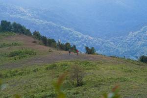 BIB: 
                            <button type="button" onclick="openModal(15903925)" class="btn btn-primary btn-sm float-right btn-popup" data-toggle="modal" data-target=".modal-high-quality">
                        <i class="fas fa-shopping-cart"></i> Add to Cart
                    </button>
                                            <button type="button" onclick="isThisMe(15903925, true)" class="btn btn-success btn-sm float-right btn-popup btn-isme hidden" data-toggle="tooltip" data-placement="bottom" title="นี่คือรูปของคุณใช่ไหม คลิกที่นี่เพื่อเอาเข้าอัลบั้ม">
                        <i class="fas fa-plus"></i> Add to album
                    </button>
                    <button type="button" onclick="isThisMe(15903925, false)" class="btn btn-warning btn-sm float-right btn-popup btn-isnotme hidden">
                        <i class="fas fa-ban"></i> Remove from album
                    </button>