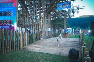 BIB: 1281044, 2021, 3106, 441446
                            <button type="button" onclick="openModal(16014101)" class="btn btn-primary btn-sm float-right btn-popup" data-toggle="modal" data-target=".modal-high-quality">
                        <i class="fas fa-shopping-cart"></i> Add to Cart
                    </button>
                                            <button type="button" onclick="isThisMe(16014101, true)" class="btn btn-success btn-sm float-right btn-popup btn-isme hidden" data-toggle="tooltip" data-placement="bottom" title="นี่คือรูปของคุณใช่ไหม คลิกที่นี่เพื่อเอาเข้าอัลบั้ม">
                        <i class="fas fa-plus"></i> Add to album
                    </button>
                    <button type="button" onclick="isThisMe(16014101, false)" class="btn btn-warning btn-sm float-right btn-popup btn-isnotme hidden">
                        <i class="fas fa-ban"></i> Remove from album
                    </button>