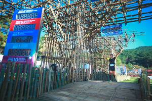 BIB: 888888, 883839, 16036, 2021, 3153
                            <button type="button" onclick="openModal(16013057)" class="btn btn-primary btn-sm float-right btn-popup" data-toggle="modal" data-target=".modal-high-quality">
                        <i class="fas fa-shopping-cart"></i> Add to Cart
                    </button>
                                            <button type="button" onclick="isThisMe(16013057, true)" class="btn btn-success btn-sm float-right btn-popup btn-isme hidden" data-toggle="tooltip" data-placement="bottom" title="นี่คือรูปของคุณใช่ไหม คลิกที่นี่เพื่อเอาเข้าอัลบั้ม">
                        <i class="fas fa-plus"></i> Add to album
                    </button>
                    <button type="button" onclick="isThisMe(16013057, false)" class="btn btn-warning btn-sm float-right btn-popup btn-isnotme hidden">
                        <i class="fas fa-ban"></i> Remove from album
                    </button>