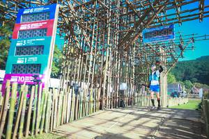 BIB: 3506, 2021, 760, 305
                            <button type="button" onclick="openModal(16008630)" class="btn btn-primary btn-sm float-right btn-popup" data-toggle="modal" data-target=".modal-high-quality">
                        <i class="fas fa-shopping-cart"></i> Add to Cart
                    </button>
                                            <button type="button" onclick="isThisMe(16008630, true)" class="btn btn-success btn-sm float-right btn-popup btn-isme hidden" data-toggle="tooltip" data-placement="bottom" title="นี่คือรูปของคุณใช่ไหม คลิกที่นี่เพื่อเอาเข้าอัลบั้ม">
                        <i class="fas fa-plus"></i> Add to album
                    </button>
                    <button type="button" onclick="isThisMe(16008630, false)" class="btn btn-warning btn-sm float-right btn-popup btn-isnotme hidden">
                        <i class="fas fa-ban"></i> Remove from album
                    </button>