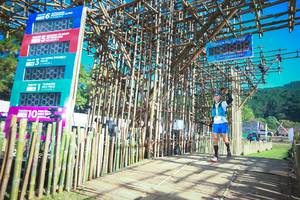 BIB: 2021, 305
                            <button type="button" onclick="openModal(16008631)" class="btn btn-primary btn-sm float-right btn-popup" data-toggle="modal" data-target=".modal-high-quality">
                        <i class="fas fa-shopping-cart"></i> Add to Cart
                    </button>
                                            <button type="button" onclick="isThisMe(16008631, true)" class="btn btn-success btn-sm float-right btn-popup btn-isme hidden" data-toggle="tooltip" data-placement="bottom" title="นี่คือรูปของคุณใช่ไหม คลิกที่นี่เพื่อเอาเข้าอัลบั้ม">
                        <i class="fas fa-plus"></i> Add to album
                    </button>
                    <button type="button" onclick="isThisMe(16008631, false)" class="btn btn-warning btn-sm float-right btn-popup btn-isnotme hidden">
                        <i class="fas fa-ban"></i> Remove from album
                    </button>