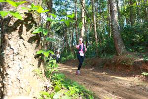 BIB: 8366
                            <button type="button" onclick="openModal(16027947)" class="btn btn-primary btn-sm float-right btn-popup" data-toggle="modal" data-target=".modal-high-quality">
                        <i class="fas fa-shopping-cart"></i> Add to Cart
                    </button>
                                            <button type="button" onclick="isThisMe(16027947, true)" class="btn btn-success btn-sm float-right btn-popup btn-isme hidden" data-toggle="tooltip" data-placement="bottom" title="นี่คือรูปของคุณใช่ไหม คลิกที่นี่เพื่อเอาเข้าอัลบั้ม">
                        <i class="fas fa-plus"></i> Add to album
                    </button>
                    <button type="button" onclick="isThisMe(16027947, false)" class="btn btn-warning btn-sm float-right btn-popup btn-isnotme hidden">
                        <i class="fas fa-ban"></i> Remove from album
                    </button>