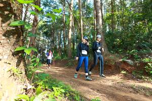 BIB: 8040
                            <button type="button" onclick="openModal(16027919)" class="btn btn-primary btn-sm float-right btn-popup" data-toggle="modal" data-target=".modal-high-quality">
                        <i class="fas fa-shopping-cart"></i> Add to Cart
                    </button>
                                            <button type="button" onclick="isThisMe(16027919, true)" class="btn btn-success btn-sm float-right btn-popup btn-isme hidden" data-toggle="tooltip" data-placement="bottom" title="นี่คือรูปของคุณใช่ไหม คลิกที่นี่เพื่อเอาเข้าอัลบั้ม">
                        <i class="fas fa-plus"></i> Add to album
                    </button>
                    <button type="button" onclick="isThisMe(16027919, false)" class="btn btn-warning btn-sm float-right btn-popup btn-isnotme hidden">
                        <i class="fas fa-ban"></i> Remove from album
                    </button>