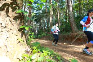 BIB: 035
                            <button type="button" onclick="openModal(16027933)" class="btn btn-primary btn-sm float-right btn-popup" data-toggle="modal" data-target=".modal-high-quality">
                        <i class="fas fa-shopping-cart"></i> Add to Cart
                    </button>
                                            <button type="button" onclick="isThisMe(16027933, true)" class="btn btn-success btn-sm float-right btn-popup btn-isme hidden" data-toggle="tooltip" data-placement="bottom" title="นี่คือรูปของคุณใช่ไหม คลิกที่นี่เพื่อเอาเข้าอัลบั้ม">
                        <i class="fas fa-plus"></i> Add to album
                    </button>
                    <button type="button" onclick="isThisMe(16027933, false)" class="btn btn-warning btn-sm float-right btn-popup btn-isnotme hidden">
                        <i class="fas fa-ban"></i> Remove from album
                    </button>