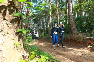 BIB: 8040, 8035
                            <button type="button" onclick="openModal(16027913)" class="btn btn-primary btn-sm float-right btn-popup" data-toggle="modal" data-target=".modal-high-quality">
                        <i class="fas fa-shopping-cart"></i> Add to Cart
                    </button>
                                            <button type="button" onclick="isThisMe(16027913, true)" class="btn btn-success btn-sm float-right btn-popup btn-isme hidden" data-toggle="tooltip" data-placement="bottom" title="นี่คือรูปของคุณใช่ไหม คลิกที่นี่เพื่อเอาเข้าอัลบั้ม">
                        <i class="fas fa-plus"></i> Add to album
                    </button>
                    <button type="button" onclick="isThisMe(16027913, false)" class="btn btn-warning btn-sm float-right btn-popup btn-isnotme hidden">
                        <i class="fas fa-ban"></i> Remove from album
                    </button>