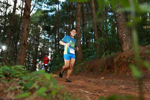 BIB: 8010
                            <button type="button" onclick="openModal(16023964)" class="btn btn-primary btn-sm float-right btn-popup" data-toggle="modal" data-target=".modal-high-quality">
                        <i class="fas fa-shopping-cart"></i> Add to Cart
                    </button>
                                            <button type="button" onclick="isThisMe(16023964, true)" class="btn btn-success btn-sm float-right btn-popup btn-isme hidden" data-toggle="tooltip" data-placement="bottom" title="นี่คือรูปของคุณใช่ไหม คลิกที่นี่เพื่อเอาเข้าอัลบั้ม">
                        <i class="fas fa-plus"></i> Add to album
                    </button>
                    <button type="button" onclick="isThisMe(16023964, false)" class="btn btn-warning btn-sm float-right btn-popup btn-isnotme hidden">
                        <i class="fas fa-ban"></i> Remove from album
                    </button>