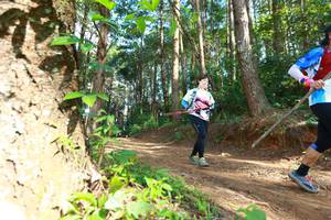 BIB: 8194
                            <button type="button" onclick="openModal(16027935)" class="btn btn-primary btn-sm float-right btn-popup" data-toggle="modal" data-target=".modal-high-quality">
                        <i class="fas fa-shopping-cart"></i> Add to Cart
                    </button>
                                            <button type="button" onclick="isThisMe(16027935, true)" class="btn btn-success btn-sm float-right btn-popup btn-isme hidden" data-toggle="tooltip" data-placement="bottom" title="นี่คือรูปของคุณใช่ไหม คลิกที่นี่เพื่อเอาเข้าอัลบั้ม">
                        <i class="fas fa-plus"></i> Add to album
                    </button>
                    <button type="button" onclick="isThisMe(16027935, false)" class="btn btn-warning btn-sm float-right btn-popup btn-isnotme hidden">
                        <i class="fas fa-ban"></i> Remove from album
                    </button>