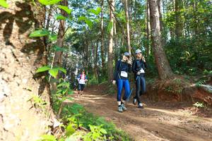 BIB: 8040, 8035
                            <button type="button" onclick="openModal(16027915)" class="btn btn-primary btn-sm float-right btn-popup" data-toggle="modal" data-target=".modal-high-quality">
                        <i class="fas fa-shopping-cart"></i> Add to Cart
                    </button>
                                            <button type="button" onclick="isThisMe(16027915, true)" class="btn btn-success btn-sm float-right btn-popup btn-isme hidden" data-toggle="tooltip" data-placement="bottom" title="นี่คือรูปของคุณใช่ไหม คลิกที่นี่เพื่อเอาเข้าอัลบั้ม">
                        <i class="fas fa-plus"></i> Add to album
                    </button>
                    <button type="button" onclick="isThisMe(16027915, false)" class="btn btn-warning btn-sm float-right btn-popup btn-isnotme hidden">
                        <i class="fas fa-ban"></i> Remove from album
                    </button>