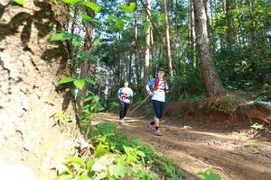 BIB: 8035, 
                            <button type="button" onclick="openModal(16027926)" class="btn btn-primary btn-sm float-right btn-popup" data-toggle="modal" data-target=".modal-high-quality">
                        <i class="fas fa-shopping-cart"></i> Add to Cart
                    </button>
                                            <button type="button" onclick="isThisMe(16027926, true)" class="btn btn-success btn-sm float-right btn-popup btn-isme hidden" data-toggle="tooltip" data-placement="bottom" title="นี่คือรูปของคุณใช่ไหม คลิกที่นี่เพื่อเอาเข้าอัลบั้ม">
                        <i class="fas fa-plus"></i> Add to album
                    </button>
                    <button type="button" onclick="isThisMe(16027926, false)" class="btn btn-warning btn-sm float-right btn-popup btn-isnotme hidden">
                        <i class="fas fa-ban"></i> Remove from album
                    </button>