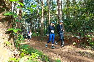 BIB: 8040, 8035
                            <button type="button" onclick="openModal(16027924)" class="btn btn-primary btn-sm float-right btn-popup" data-toggle="modal" data-target=".modal-high-quality">
                        <i class="fas fa-shopping-cart"></i> Add to Cart
                    </button>
                                            <button type="button" onclick="isThisMe(16027924, true)" class="btn btn-success btn-sm float-right btn-popup btn-isme hidden" data-toggle="tooltip" data-placement="bottom" title="นี่คือรูปของคุณใช่ไหม คลิกที่นี่เพื่อเอาเข้าอัลบั้ม">
                        <i class="fas fa-plus"></i> Add to album
                    </button>
                    <button type="button" onclick="isThisMe(16027924, false)" class="btn btn-warning btn-sm float-right btn-popup btn-isnotme hidden">
                        <i class="fas fa-ban"></i> Remove from album
                    </button>