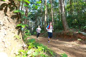 BIB: 035, 
                            <button type="button" onclick="openModal(16027930)" class="btn btn-primary btn-sm float-right btn-popup" data-toggle="modal" data-target=".modal-high-quality">
                        <i class="fas fa-shopping-cart"></i> Add to Cart
                    </button>
                                            <button type="button" onclick="isThisMe(16027930, true)" class="btn btn-success btn-sm float-right btn-popup btn-isme hidden" data-toggle="tooltip" data-placement="bottom" title="นี่คือรูปของคุณใช่ไหม คลิกที่นี่เพื่อเอาเข้าอัลบั้ม">
                        <i class="fas fa-plus"></i> Add to album
                    </button>
                    <button type="button" onclick="isThisMe(16027930, false)" class="btn btn-warning btn-sm float-right btn-popup btn-isnotme hidden">
                        <i class="fas fa-ban"></i> Remove from album
                    </button>