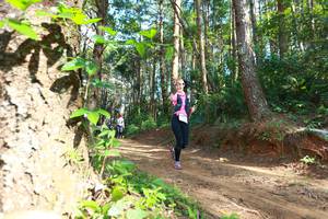 BIB: 8366
                            <button type="button" onclick="openModal(16027949)" class="btn btn-primary btn-sm float-right btn-popup" data-toggle="modal" data-target=".modal-high-quality">
                        <i class="fas fa-shopping-cart"></i> Add to Cart
                    </button>
                                            <button type="button" onclick="isThisMe(16027949, true)" class="btn btn-success btn-sm float-right btn-popup btn-isme hidden" data-toggle="tooltip" data-placement="bottom" title="นี่คือรูปของคุณใช่ไหม คลิกที่นี่เพื่อเอาเข้าอัลบั้ม">
                        <i class="fas fa-plus"></i> Add to album
                    </button>
                    <button type="button" onclick="isThisMe(16027949, false)" class="btn btn-warning btn-sm float-right btn-popup btn-isnotme hidden">
                        <i class="fas fa-ban"></i> Remove from album
                    </button>