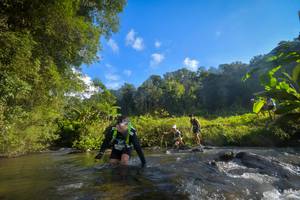 BIB: 1299, 1132, 1294
                            <button type="button" onclick="openModal(15963518)" class="btn btn-primary btn-sm float-right btn-popup" data-toggle="modal" data-target=".modal-high-quality">
                        <i class="fas fa-shopping-cart"></i> Add to Cart
                    </button>
                                            <button type="button" onclick="isThisMe(15963518, true)" class="btn btn-success btn-sm float-right btn-popup btn-isme hidden" data-toggle="tooltip" data-placement="bottom" title="นี่คือรูปของคุณใช่ไหม คลิกที่นี่เพื่อเอาเข้าอัลบั้ม">
                        <i class="fas fa-plus"></i> Add to album
                    </button>
                    <button type="button" onclick="isThisMe(15963518, false)" class="btn btn-warning btn-sm float-right btn-popup btn-isnotme hidden">
                        <i class="fas fa-ban"></i> Remove from album
                    </button>