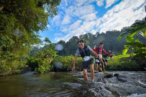 BIB: 1636, 1529, 1052, 108
                            <button type="button" onclick="openModal(15965816)" class="btn btn-primary btn-sm float-right btn-popup" data-toggle="modal" data-target=".modal-high-quality">
                        <i class="fas fa-shopping-cart"></i> Add to Cart
                    </button>
                                            <button type="button" onclick="isThisMe(15965816, true)" class="btn btn-success btn-sm float-right btn-popup btn-isme hidden" data-toggle="tooltip" data-placement="bottom" title="นี่คือรูปของคุณใช่ไหม คลิกที่นี่เพื่อเอาเข้าอัลบั้ม">
                        <i class="fas fa-plus"></i> Add to album
                    </button>
                    <button type="button" onclick="isThisMe(15965816, false)" class="btn btn-warning btn-sm float-right btn-popup btn-isnotme hidden">
                        <i class="fas fa-ban"></i> Remove from album
                    </button>