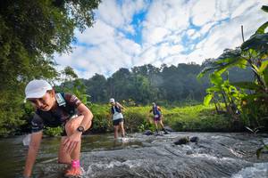 BIB: 1005, 1033, 1601
                            <button type="button" onclick="openModal(15959905)" class="btn btn-primary btn-sm float-right btn-popup" data-toggle="modal" data-target=".modal-high-quality">
                        <i class="fas fa-shopping-cart"></i> Add to Cart
                    </button>
                                            <button type="button" onclick="isThisMe(15959905, true)" class="btn btn-success btn-sm float-right btn-popup btn-isme hidden" data-toggle="tooltip" data-placement="bottom" title="นี่คือรูปของคุณใช่ไหม คลิกที่นี่เพื่อเอาเข้าอัลบั้ม">
                        <i class="fas fa-plus"></i> Add to album
                    </button>
                    <button type="button" onclick="isThisMe(15959905, false)" class="btn btn-warning btn-sm float-right btn-popup btn-isnotme hidden">
                        <i class="fas fa-ban"></i> Remove from album
                    </button>