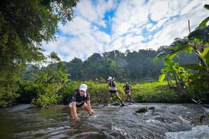 BIB: 1005, 1033, 120
                            <button type="button" onclick="openModal(15957454)" class="btn btn-primary btn-sm float-right btn-popup" data-toggle="modal" data-target=".modal-high-quality">
                        <i class="fas fa-shopping-cart"></i> Add to Cart
                    </button>
                                            <button type="button" onclick="isThisMe(15957454, true)" class="btn btn-success btn-sm float-right btn-popup btn-isme hidden" data-toggle="tooltip" data-placement="bottom" title="นี่คือรูปของคุณใช่ไหม คลิกที่นี่เพื่อเอาเข้าอัลบั้ม">
                        <i class="fas fa-plus"></i> Add to album
                    </button>
                    <button type="button" onclick="isThisMe(15957454, false)" class="btn btn-warning btn-sm float-right btn-popup btn-isnotme hidden">
                        <i class="fas fa-ban"></i> Remove from album
                    </button>