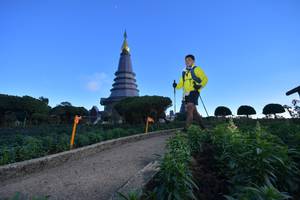 BIB: 
                            <button type="button" onclick="openModal(15969988)" class="btn btn-primary btn-sm float-right btn-popup" data-toggle="modal" data-target=".modal-high-quality">
                        <i class="fas fa-shopping-cart"></i> Add to Cart
                    </button>
                                            <button type="button" onclick="isThisMe(15969988, true)" class="btn btn-success btn-sm float-right btn-popup btn-isme hidden" data-toggle="tooltip" data-placement="bottom" title="นี่คือรูปของคุณใช่ไหม คลิกที่นี่เพื่อเอาเข้าอัลบั้ม">
                        <i class="fas fa-plus"></i> Add to album
                    </button>
                    <button type="button" onclick="isThisMe(15969988, false)" class="btn btn-warning btn-sm float-right btn-popup btn-isnotme hidden">
                        <i class="fas fa-ban"></i> Remove from album
                    </button>