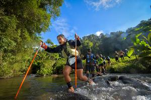 BIB: 1511, 720
                            <button type="button" onclick="openModal(15963001)" class="btn btn-primary btn-sm float-right btn-popup" data-toggle="modal" data-target=".modal-high-quality">
                        <i class="fas fa-shopping-cart"></i> Add to Cart
                    </button>
                                            <button type="button" onclick="isThisMe(15963001, true)" class="btn btn-success btn-sm float-right btn-popup btn-isme hidden" data-toggle="tooltip" data-placement="bottom" title="นี่คือรูปของคุณใช่ไหม คลิกที่นี่เพื่อเอาเข้าอัลบั้ม">
                        <i class="fas fa-plus"></i> Add to album
                    </button>
                    <button type="button" onclick="isThisMe(15963001, false)" class="btn btn-warning btn-sm float-right btn-popup btn-isnotme hidden">
                        <i class="fas fa-ban"></i> Remove from album
                    </button>