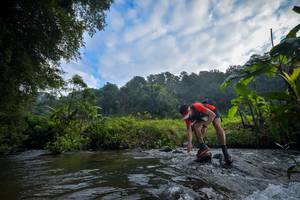 BIB: 1645
                            <button type="button" onclick="openModal(15957131)" class="btn btn-primary btn-sm float-right btn-popup" data-toggle="modal" data-target=".modal-high-quality">
                        <i class="fas fa-shopping-cart"></i> Add to Cart
                    </button>
                                            <button type="button" onclick="isThisMe(15957131, true)" class="btn btn-success btn-sm float-right btn-popup btn-isme hidden" data-toggle="tooltip" data-placement="bottom" title="นี่คือรูปของคุณใช่ไหม คลิกที่นี่เพื่อเอาเข้าอัลบั้ม">
                        <i class="fas fa-plus"></i> Add to album
                    </button>
                    <button type="button" onclick="isThisMe(15957131, false)" class="btn btn-warning btn-sm float-right btn-popup btn-isnotme hidden">
                        <i class="fas fa-ban"></i> Remove from album
                    </button>