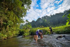 BIB: 
                            <button type="button" onclick="openModal(15965675)" class="btn btn-primary btn-sm float-right btn-popup" data-toggle="modal" data-target=".modal-high-quality">
                        <i class="fas fa-shopping-cart"></i> Add to Cart
                    </button>
                                            <button type="button" onclick="isThisMe(15965675, true)" class="btn btn-success btn-sm float-right btn-popup btn-isme hidden" data-toggle="tooltip" data-placement="bottom" title="นี่คือรูปของคุณใช่ไหม คลิกที่นี่เพื่อเอาเข้าอัลบั้ม">
                        <i class="fas fa-plus"></i> Add to album
                    </button>
                    <button type="button" onclick="isThisMe(15965675, false)" class="btn btn-warning btn-sm float-right btn-popup btn-isnotme hidden">
                        <i class="fas fa-ban"></i> Remove from album
                    </button>