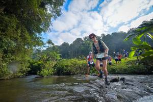 BIB: 1554, 1213, 1519
                            <button type="button" onclick="openModal(15966018)" class="btn btn-primary btn-sm float-right btn-popup" data-toggle="modal" data-target=".modal-high-quality">
                        <i class="fas fa-shopping-cart"></i> Add to Cart
                    </button>
                                            <button type="button" onclick="isThisMe(15966018, true)" class="btn btn-success btn-sm float-right btn-popup btn-isme hidden" data-toggle="tooltip" data-placement="bottom" title="นี่คือรูปของคุณใช่ไหม คลิกที่นี่เพื่อเอาเข้าอัลบั้ม">
                        <i class="fas fa-plus"></i> Add to album
                    </button>
                    <button type="button" onclick="isThisMe(15966018, false)" class="btn btn-warning btn-sm float-right btn-popup btn-isnotme hidden">
                        <i class="fas fa-ban"></i> Remove from album
                    </button>