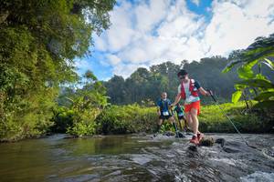 BIB: 1045, 1091, 1072
                            <button type="button" onclick="openModal(15965979)" class="btn btn-primary btn-sm float-right btn-popup" data-toggle="modal" data-target=".modal-high-quality">
                        <i class="fas fa-shopping-cart"></i> Add to Cart
                    </button>
                                            <button type="button" onclick="isThisMe(15965979, true)" class="btn btn-success btn-sm float-right btn-popup btn-isme hidden" data-toggle="tooltip" data-placement="bottom" title="นี่คือรูปของคุณใช่ไหม คลิกที่นี่เพื่อเอาเข้าอัลบั้ม">
                        <i class="fas fa-plus"></i> Add to album
                    </button>
                    <button type="button" onclick="isThisMe(15965979, false)" class="btn btn-warning btn-sm float-right btn-popup btn-isnotme hidden">
                        <i class="fas fa-ban"></i> Remove from album
                    </button>