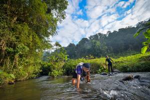 BIB: 
                            <button type="button" onclick="openModal(15965676)" class="btn btn-primary btn-sm float-right btn-popup" data-toggle="modal" data-target=".modal-high-quality">
                        <i class="fas fa-shopping-cart"></i> Add to Cart
                    </button>
                                            <button type="button" onclick="isThisMe(15965676, true)" class="btn btn-success btn-sm float-right btn-popup btn-isme hidden" data-toggle="tooltip" data-placement="bottom" title="นี่คือรูปของคุณใช่ไหม คลิกที่นี่เพื่อเอาเข้าอัลบั้ม">
                        <i class="fas fa-plus"></i> Add to album
                    </button>
                    <button type="button" onclick="isThisMe(15965676, false)" class="btn btn-warning btn-sm float-right btn-popup btn-isnotme hidden">
                        <i class="fas fa-ban"></i> Remove from album
                    </button>