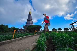 BIB: 3327
                            <button type="button" onclick="openModal(15969800)" class="btn btn-primary btn-sm float-right btn-popup" data-toggle="modal" data-target=".modal-high-quality">
                        <i class="fas fa-shopping-cart"></i> Add to Cart
                    </button>
                                            <button type="button" onclick="isThisMe(15969800, true)" class="btn btn-success btn-sm float-right btn-popup btn-isme hidden" data-toggle="tooltip" data-placement="bottom" title="นี่คือรูปของคุณใช่ไหม คลิกที่นี่เพื่อเอาเข้าอัลบั้ม">
                        <i class="fas fa-plus"></i> Add to album
                    </button>
                    <button type="button" onclick="isThisMe(15969800, false)" class="btn btn-warning btn-sm float-right btn-popup btn-isnotme hidden">
                        <i class="fas fa-ban"></i> Remove from album
                    </button>