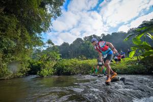 BIB: 146, 1213, 1412
                            <button type="button" onclick="openModal(15966017)" class="btn btn-primary btn-sm float-right btn-popup" data-toggle="modal" data-target=".modal-high-quality">
                        <i class="fas fa-shopping-cart"></i> Add to Cart
                    </button>
                                            <button type="button" onclick="isThisMe(15966017, true)" class="btn btn-success btn-sm float-right btn-popup btn-isme hidden" data-toggle="tooltip" data-placement="bottom" title="นี่คือรูปของคุณใช่ไหม คลิกที่นี่เพื่อเอาเข้าอัลบั้ม">
                        <i class="fas fa-plus"></i> Add to album
                    </button>
                    <button type="button" onclick="isThisMe(15966017, false)" class="btn btn-warning btn-sm float-right btn-popup btn-isnotme hidden">
                        <i class="fas fa-ban"></i> Remove from album
                    </button>