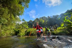 BIB: , 1384, 1511, 1550, 1122
                            <button type="button" onclick="openModal(15962881)" class="btn btn-primary btn-sm float-right btn-popup" data-toggle="modal" data-target=".modal-high-quality">
                        <i class="fas fa-shopping-cart"></i> Add to Cart
                    </button>
                                            <button type="button" onclick="isThisMe(15962881, true)" class="btn btn-success btn-sm float-right btn-popup btn-isme hidden" data-toggle="tooltip" data-placement="bottom" title="นี่คือรูปของคุณใช่ไหม คลิกที่นี่เพื่อเอาเข้าอัลบั้ม">
                        <i class="fas fa-plus"></i> Add to album
                    </button>
                    <button type="button" onclick="isThisMe(15962881, false)" class="btn btn-warning btn-sm float-right btn-popup btn-isnotme hidden">
                        <i class="fas fa-ban"></i> Remove from album
                    </button>