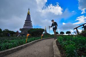 BIB: 
                            <button type="button" onclick="openModal(15969694)" class="btn btn-primary btn-sm float-right btn-popup" data-toggle="modal" data-target=".modal-high-quality">
                        <i class="fas fa-shopping-cart"></i> Add to Cart
                    </button>
                                            <button type="button" onclick="isThisMe(15969694, true)" class="btn btn-success btn-sm float-right btn-popup btn-isme hidden" data-toggle="tooltip" data-placement="bottom" title="นี่คือรูปของคุณใช่ไหม คลิกที่นี่เพื่อเอาเข้าอัลบั้ม">
                        <i class="fas fa-plus"></i> Add to album
                    </button>
                    <button type="button" onclick="isThisMe(15969694, false)" class="btn btn-warning btn-sm float-right btn-popup btn-isnotme hidden">
                        <i class="fas fa-ban"></i> Remove from album
                    </button>