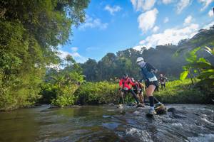 BIB: 1631
                            <button type="button" onclick="openModal(15966203)" class="btn btn-primary btn-sm float-right btn-popup" data-toggle="modal" data-target=".modal-high-quality">
                        <i class="fas fa-shopping-cart"></i> Add to Cart
                    </button>
                                            <button type="button" onclick="isThisMe(15966203, true)" class="btn btn-success btn-sm float-right btn-popup btn-isme hidden" data-toggle="tooltip" data-placement="bottom" title="นี่คือรูปของคุณใช่ไหม คลิกที่นี่เพื่อเอาเข้าอัลบั้ม">
                        <i class="fas fa-plus"></i> Add to album
                    </button>
                    <button type="button" onclick="isThisMe(15966203, false)" class="btn btn-warning btn-sm float-right btn-popup btn-isnotme hidden">
                        <i class="fas fa-ban"></i> Remove from album
                    </button>