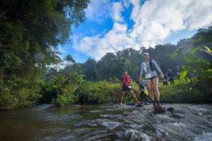 BIB: 1361, 1103
                            <button type="button" onclick="openModal(15964513)" class="btn btn-primary btn-sm float-right btn-popup" data-toggle="modal" data-target=".modal-high-quality">
                        <i class="fas fa-shopping-cart"></i> Add to Cart
                    </button>
                                            <button type="button" onclick="isThisMe(15964513, true)" class="btn btn-success btn-sm float-right btn-popup btn-isme hidden" data-toggle="tooltip" data-placement="bottom" title="นี่คือรูปของคุณใช่ไหม คลิกที่นี่เพื่อเอาเข้าอัลบั้ม">
                        <i class="fas fa-plus"></i> Add to album
                    </button>
                    <button type="button" onclick="isThisMe(15964513, false)" class="btn btn-warning btn-sm float-right btn-popup btn-isnotme hidden">
                        <i class="fas fa-ban"></i> Remove from album
                    </button>