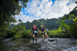 BIB: , 3419, 1057
                            <button type="button" onclick="openModal(15957241)" class="btn btn-primary btn-sm float-right btn-popup" data-toggle="modal" data-target=".modal-high-quality">
                        <i class="fas fa-shopping-cart"></i> Add to Cart
                    </button>
                                            <button type="button" onclick="isThisMe(15957241, true)" class="btn btn-success btn-sm float-right btn-popup btn-isme hidden" data-toggle="tooltip" data-placement="bottom" title="นี่คือรูปของคุณใช่ไหม คลิกที่นี่เพื่อเอาเข้าอัลบั้ม">
                        <i class="fas fa-plus"></i> Add to album
                    </button>
                    <button type="button" onclick="isThisMe(15957241, false)" class="btn btn-warning btn-sm float-right btn-popup btn-isnotme hidden">
                        <i class="fas fa-ban"></i> Remove from album
                    </button>